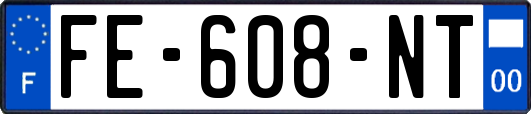 FE-608-NT