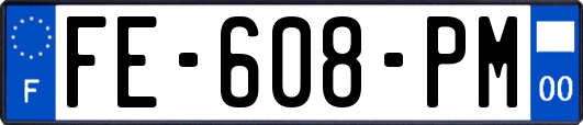 FE-608-PM