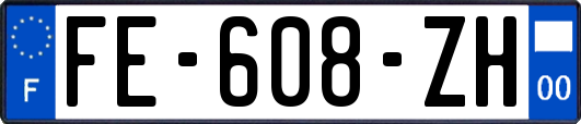 FE-608-ZH