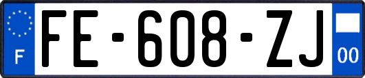 FE-608-ZJ