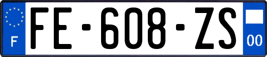 FE-608-ZS