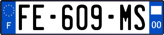 FE-609-MS
