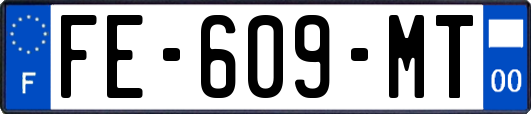 FE-609-MT