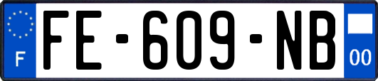 FE-609-NB