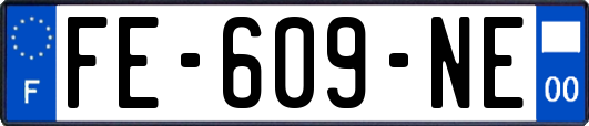 FE-609-NE