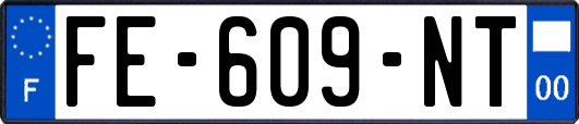 FE-609-NT