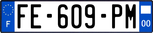 FE-609-PM