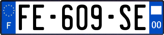 FE-609-SE
