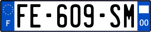 FE-609-SM