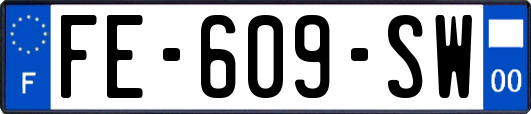FE-609-SW