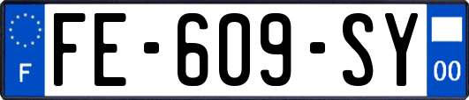 FE-609-SY
