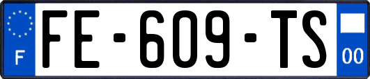 FE-609-TS