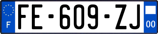 FE-609-ZJ