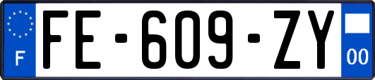 FE-609-ZY