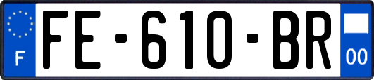 FE-610-BR
