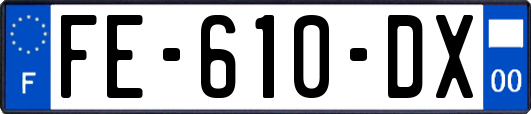 FE-610-DX