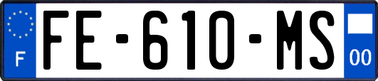 FE-610-MS