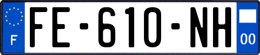 FE-610-NH