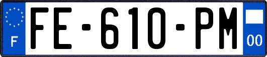 FE-610-PM