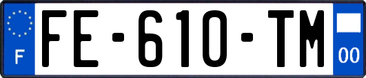 FE-610-TM