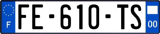 FE-610-TS