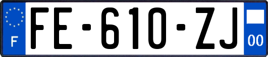 FE-610-ZJ