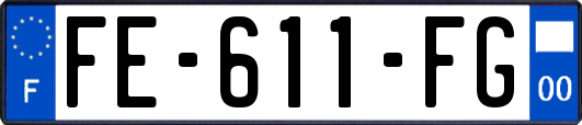 FE-611-FG