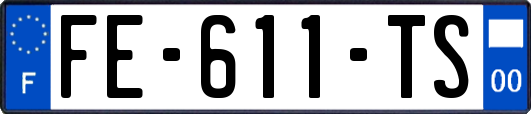 FE-611-TS