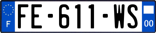 FE-611-WS
