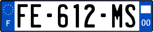 FE-612-MS