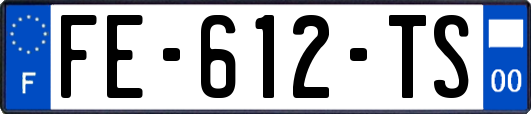 FE-612-TS