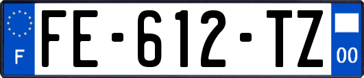 FE-612-TZ