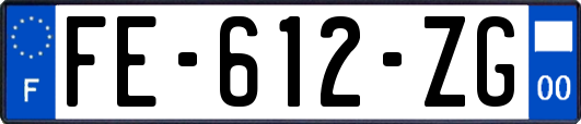 FE-612-ZG