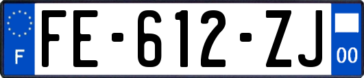 FE-612-ZJ