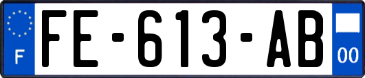 FE-613-AB