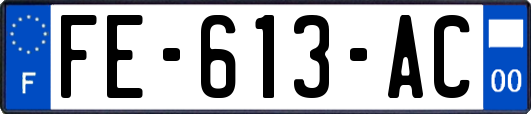 FE-613-AC