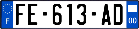 FE-613-AD