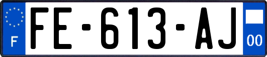 FE-613-AJ