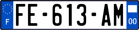 FE-613-AM