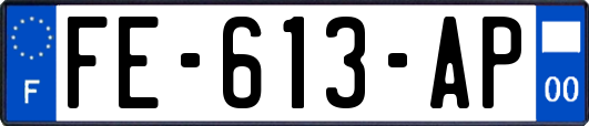 FE-613-AP