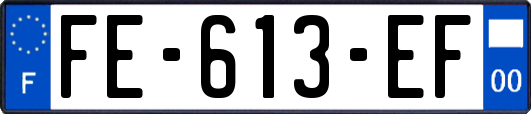 FE-613-EF