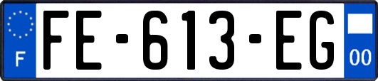 FE-613-EG