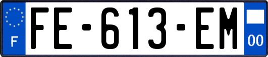FE-613-EM