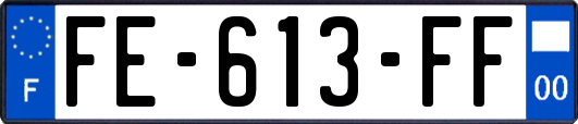 FE-613-FF