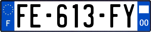 FE-613-FY