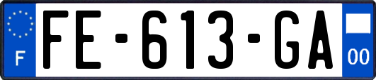 FE-613-GA