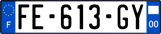FE-613-GY