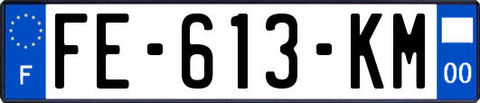 FE-613-KM