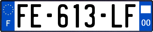 FE-613-LF