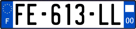 FE-613-LL